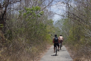 bicicletas en la selva